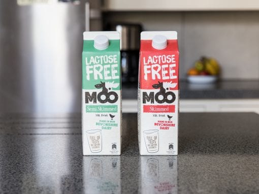 Moo Lactose Free